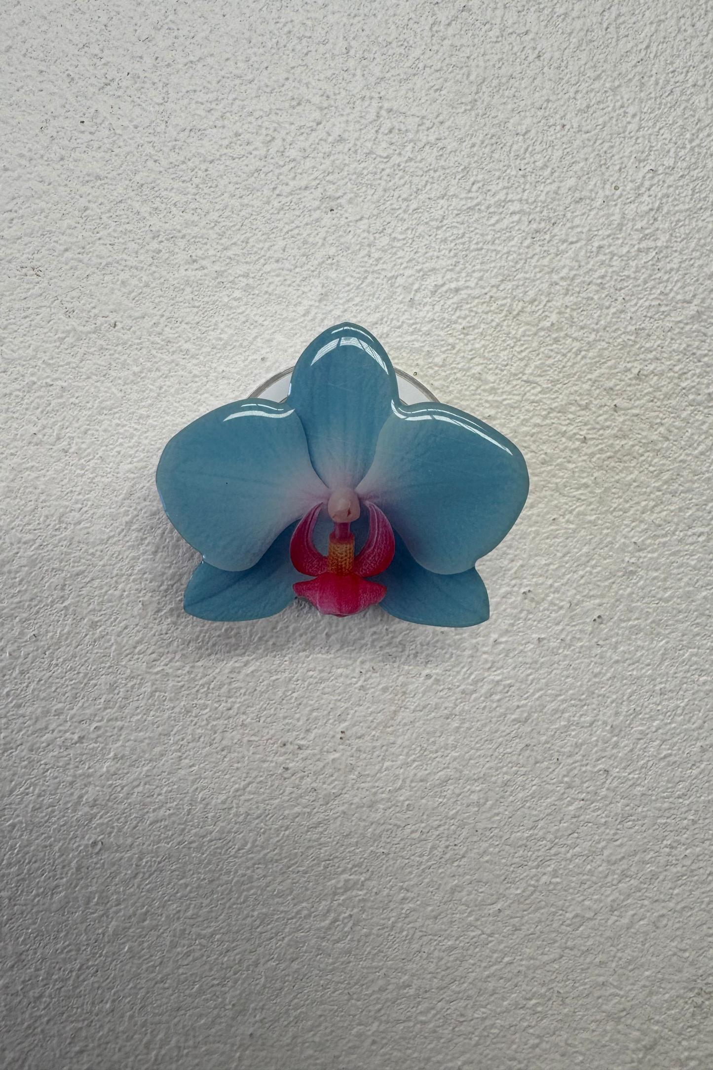 Blue Moon Flower Grip