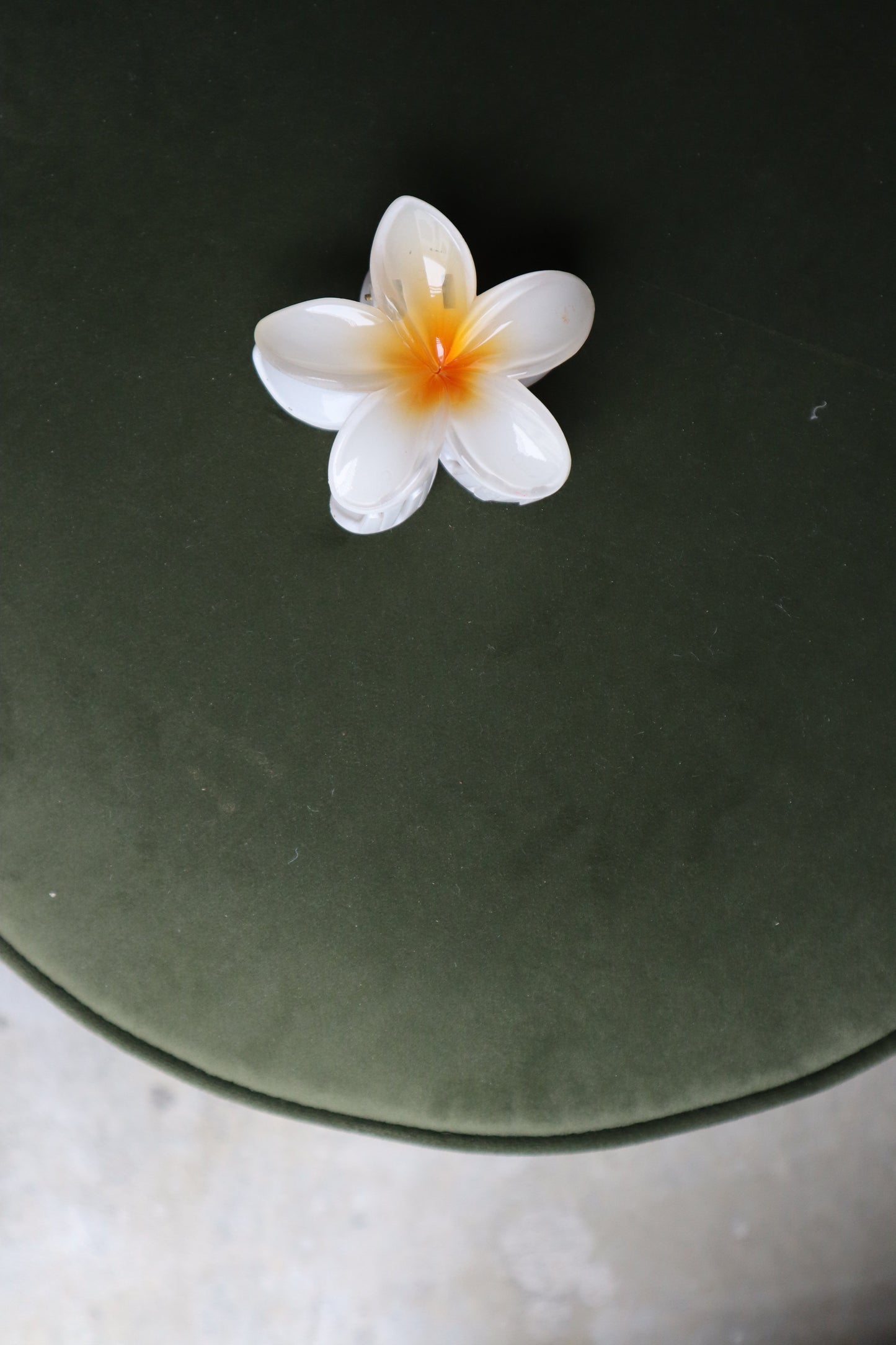 Frangipani Hawaii Hair Clip White