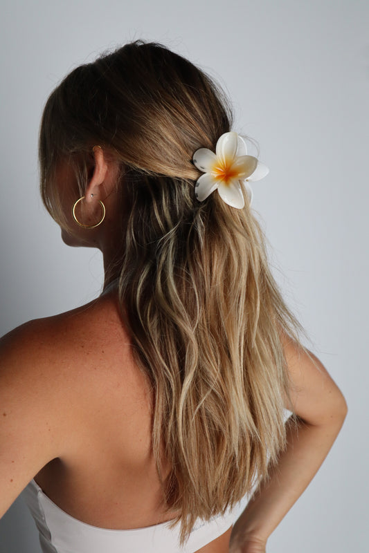 Frangipani Hawaii Hair Clip White